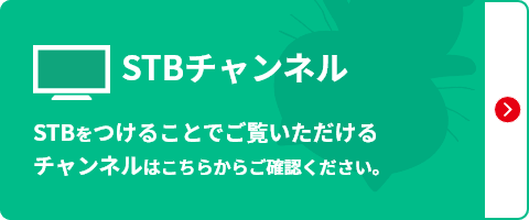 STBチャンネル STBをつけることでご覧いただけるチャンネルはこちらからご確認ください。